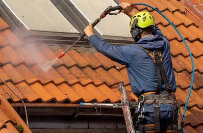 Démoussage et hydrofuge de toiture à Illartein